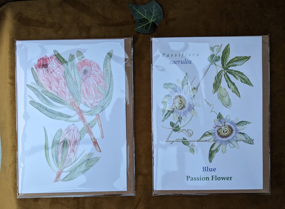 Image of Protea and Passion Flower Cards