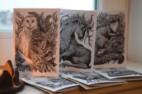 Image 1 of A6 Winter Greetings Cards