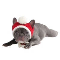 Spark Paws - Santa Knit Pom Pom Beanie Hat 