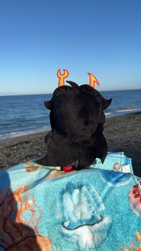 Image 3 of Mindfang Plush Doll