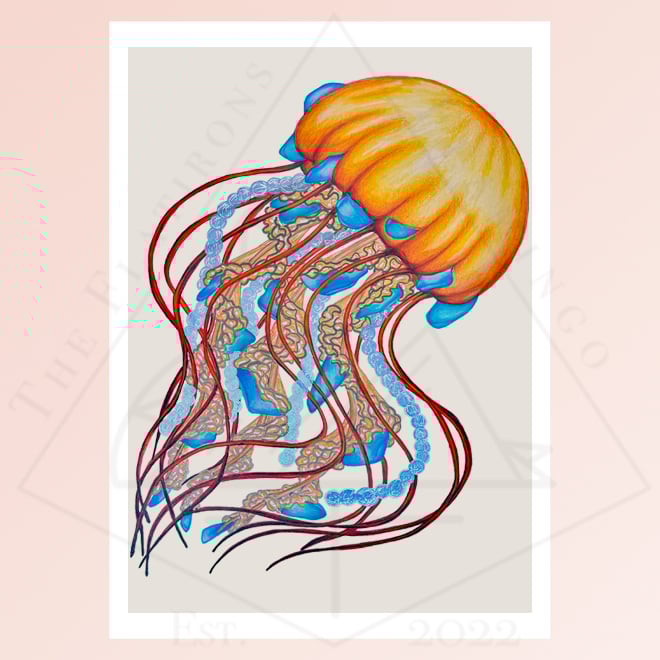 Image of Jellyfish and Sea Glass/Pearls - Art Print 5x7
