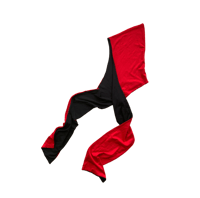 Image 1 of Reversible Hood  