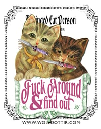 Fuck Around And Find Out Cats Sticker