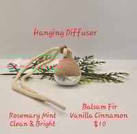 Image 1 of Hanging Diffuser Bottle 