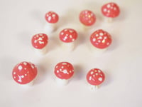 Image 2 of Red Mushrooms! - 1 pc