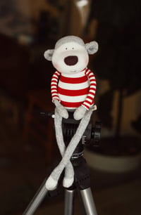 Image 3 of Willie - Original Sculpted Sock Monkey Doll