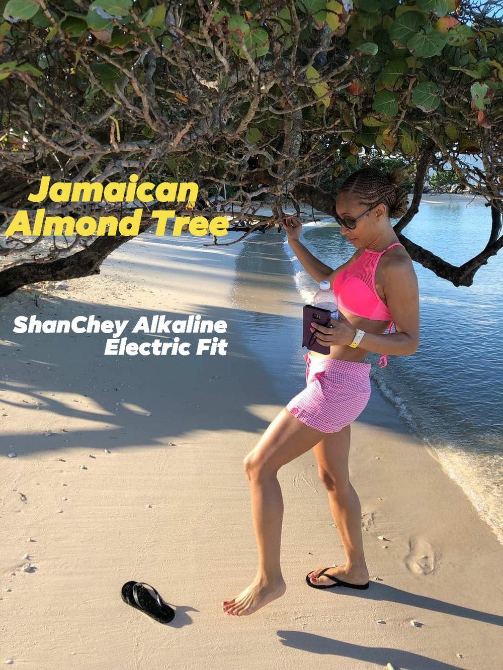 ORIGINAL-WILD Sri Lankan Sea Almonds Seeds. WILD PeaNOTS! Roasted Brazilian Baru Legume Seeds.