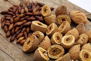 ORIGINAL-WILD Sri Lankan Sea Almonds Seeds. WILD PeaNOTS! Roasted Brazilian Baru Legume Seeds.