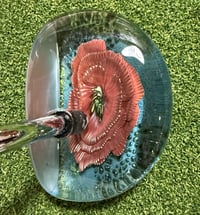 Image 1 of Red floral mallet putter