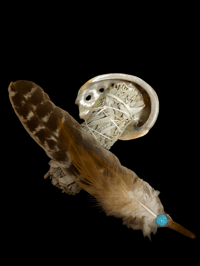 Image 3 of Shell 