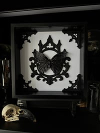 Image 1 of Spider web butterfly