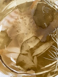 Image 4 of Bottlebrush With Owl Feather