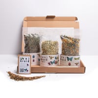 Image 1 of (h)onest herbal tea Gift package