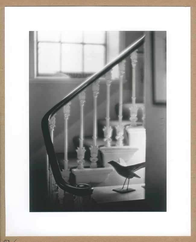 Staircase and metal bird. 