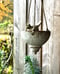 Image of Suspension porte plante Flora