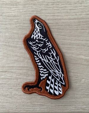 Goshawk · Patch 