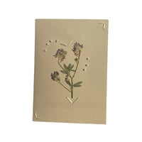 Image 1 of CARTE - fleur de Pérols