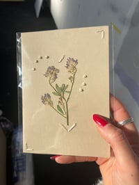 Image 3 of CARTE - fleur de Pérols