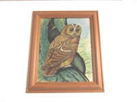 Image 1 of Vintage Owl Painting on Fabric in Chunky Wooden Frame Sized 14 7/10 x 12 1/4 ins, Unsigned 