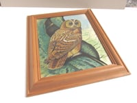 Image 2 of Vintage Owl Painting on Fabric in Chunky Wooden Frame Sized 14 7/10 x 12 1/4 ins, Unsigned 