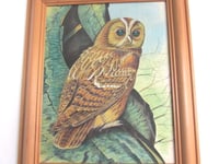 Image 3 of Vintage Owl Painting on Fabric in Chunky Wooden Frame Sized 14 7/10 x 12 1/4 ins, Unsigned 