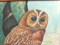 Image 5 of Vintage Owl Painting on Fabric in Chunky Wooden Frame Sized 14 7/10 x 12 1/4 ins, Unsigned 