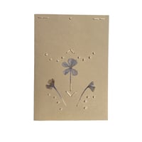 Image 1 of CARTE - fleur du couvent n°1