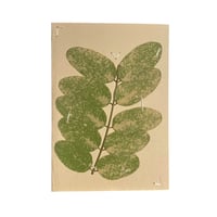 Image 1 of CARTE - feuillage de chez Basile