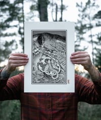 Image 2 of Goshawk and Pomegranate · Print
