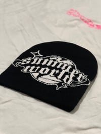 REG CS BEANIE