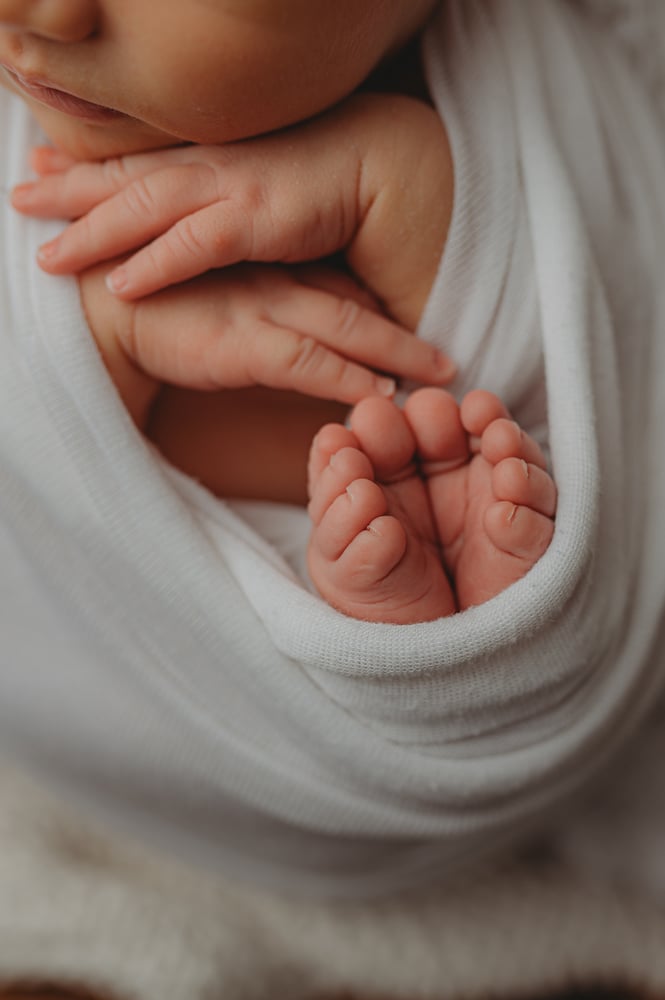 Image of Newborn Session Retainer--Posed Sessions @ RGP Studio