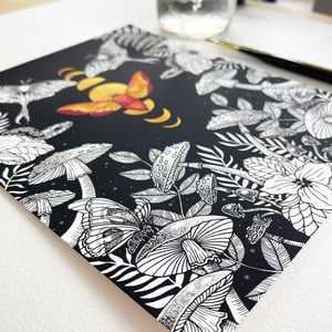 Image of Transformation, fine art print