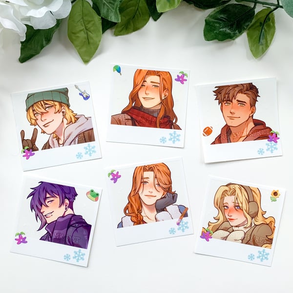 Image of SDV polaroid stickers winter series