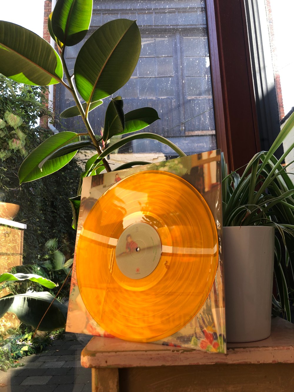 Image of 'Make (Less) Babies' - Orange Clear transparent vinyl - limited edition 100 copies!