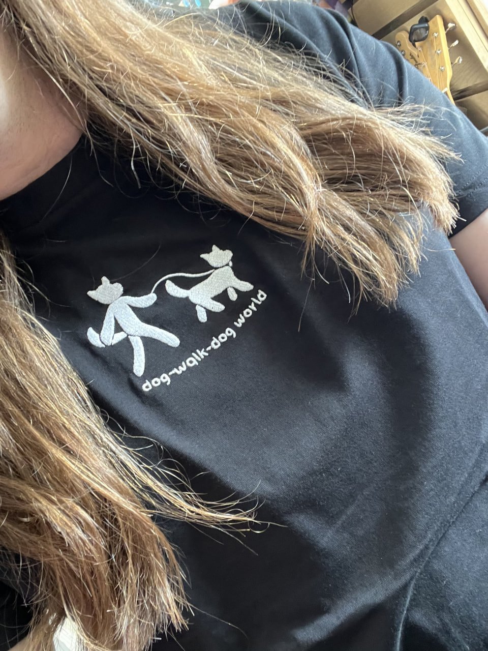 Image of Dog-Walk-Dog World (Embroidered T-Shirt)