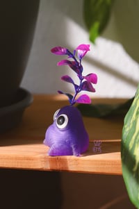 Image 1 of Mandrake Purple