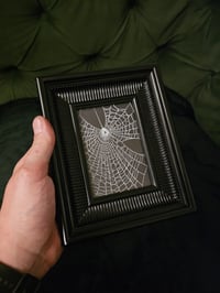 Image 2 of  black ornate framed preserved web