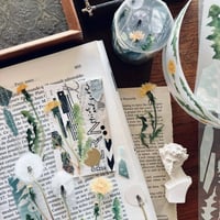 Image 4 of SomeSortOf.Fern : Dandelion