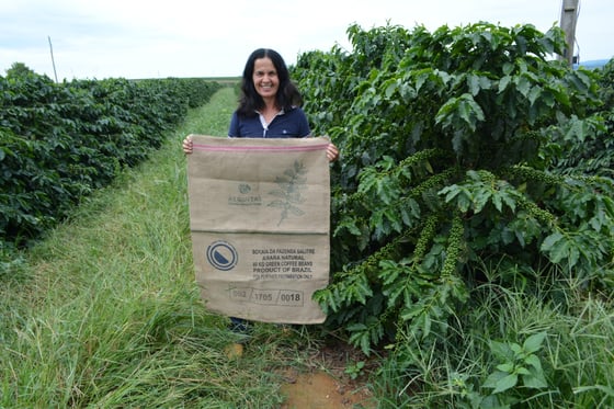 Image of Brazil Cerado Mineiro Fazenda Salitre