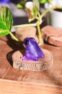 Image 1 of Gummy frog - Polyjuice potion flavour