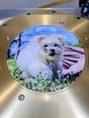 x10 Picture Discs – Single-Sided – No Glue Technology