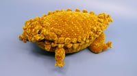 Image 1 of Texas Horned Lizard/Horny Toad