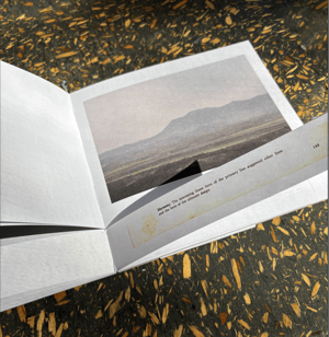 Image of Raúl Mirlo: Cómo componer un paisaje