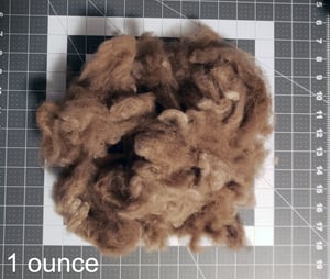 Image of Qiviut Fiber - Musk Ox Wool