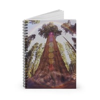 Redwood Notebook