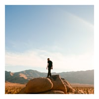 Image 3 of Joshua Tree Print 1