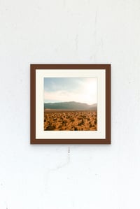 Image 1 of Joshua Tree Print 2