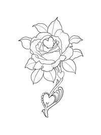 Romantic Rose