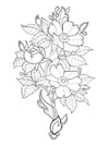 Prairie Roses and Ornamentals