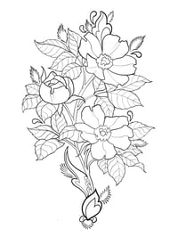 Prairie Roses and Ornamentals
